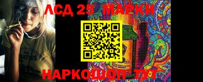 индика Малгобек