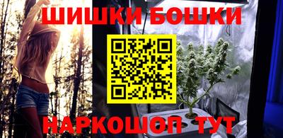 индика Малгобек